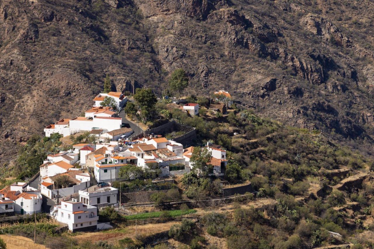 クルス・デ・テヘーダ Casa Maruca With Roque Nublo Viewヴィラ エクステリア 写真