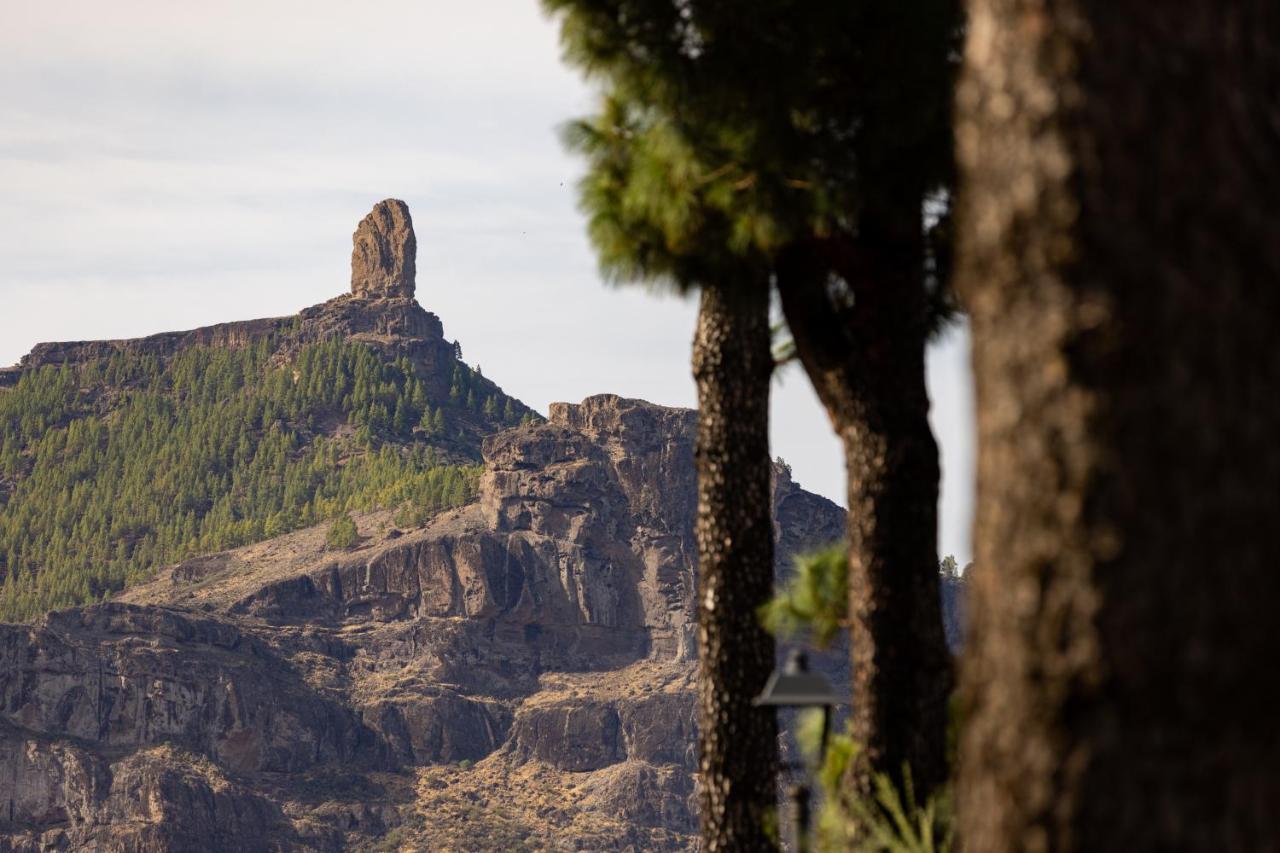 クルス・デ・テヘーダ Casa Maruca With Roque Nublo Viewヴィラ エクステリア 写真